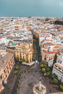 aerial photo of city during daytime