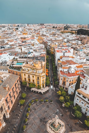 aerial photo of city during daytime