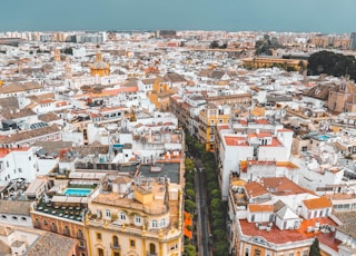 aerial photo of city during daytime