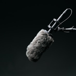 black condenser microphone