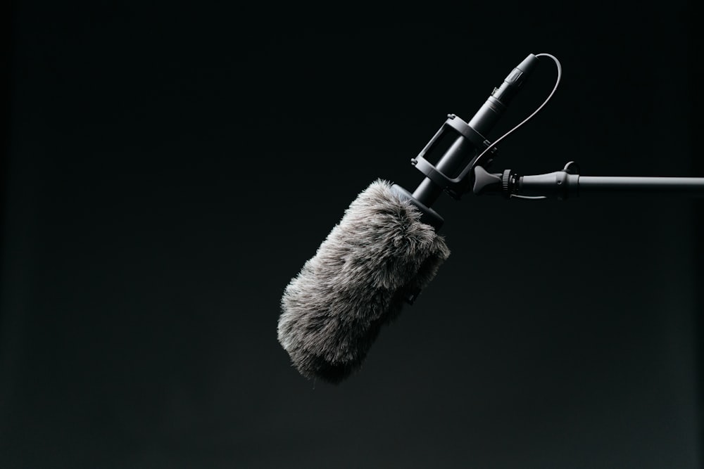 black condenser microphone