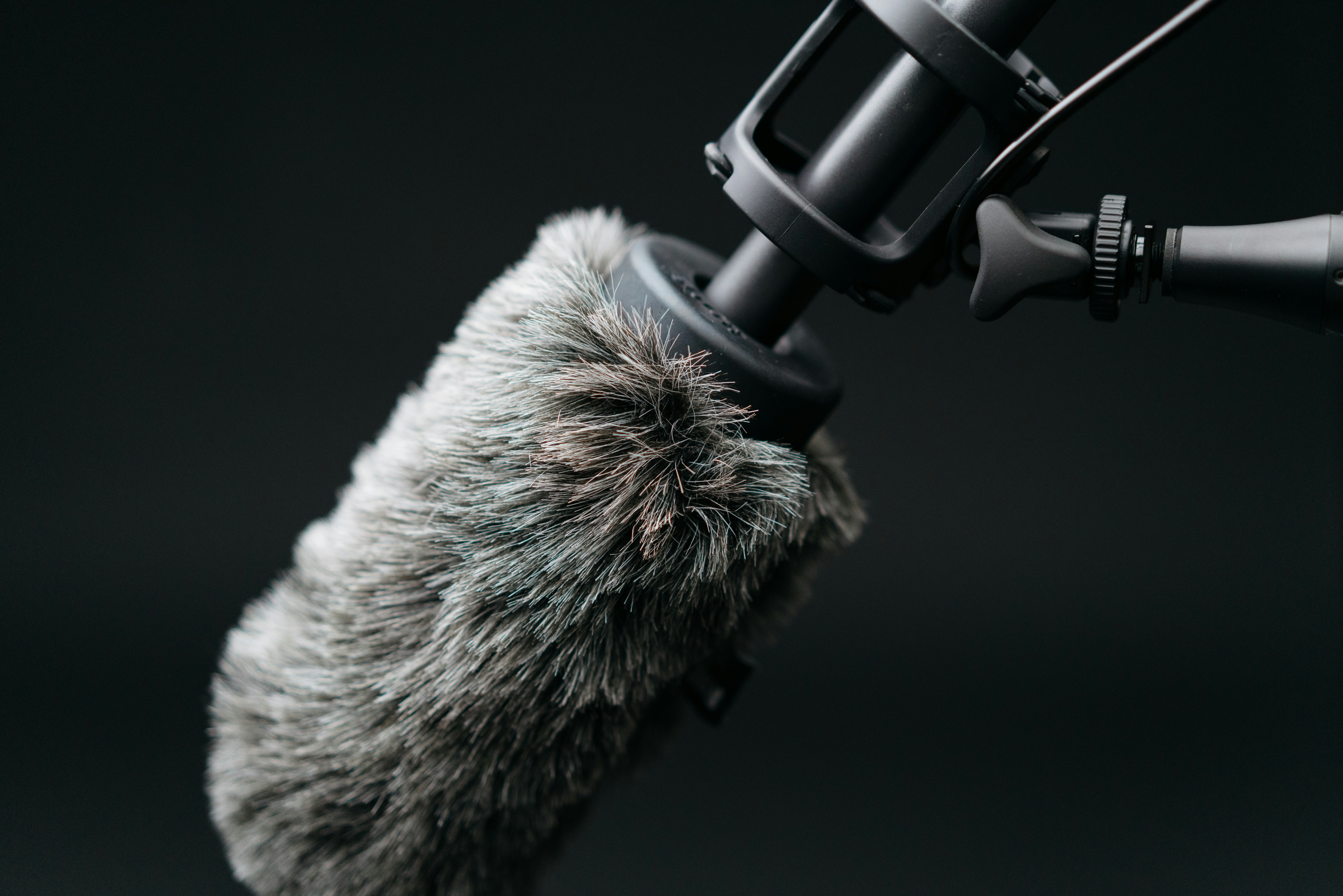 close-u photo of microphone with filter