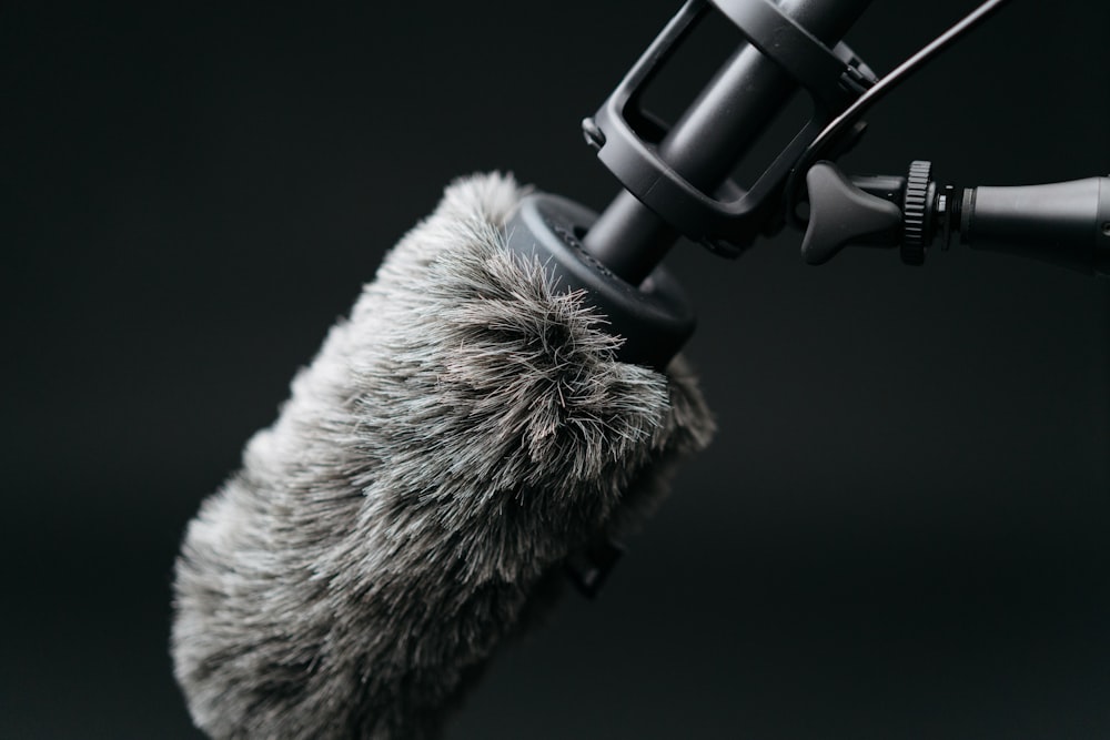 close-u photo of microphone with filter
