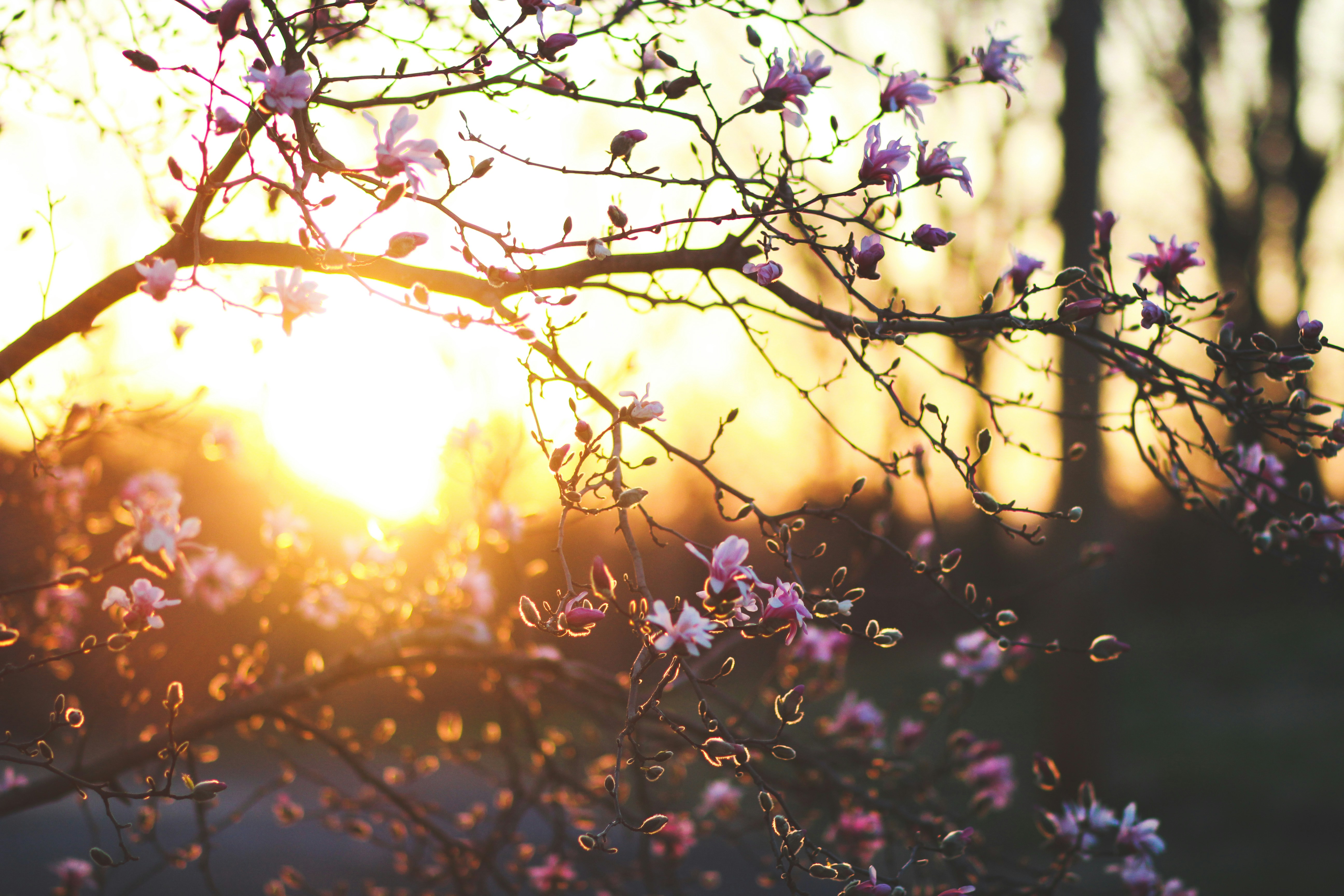 Photo by meghanschiereck