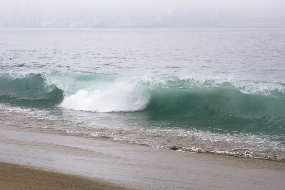 onda d'acqua sulla riva