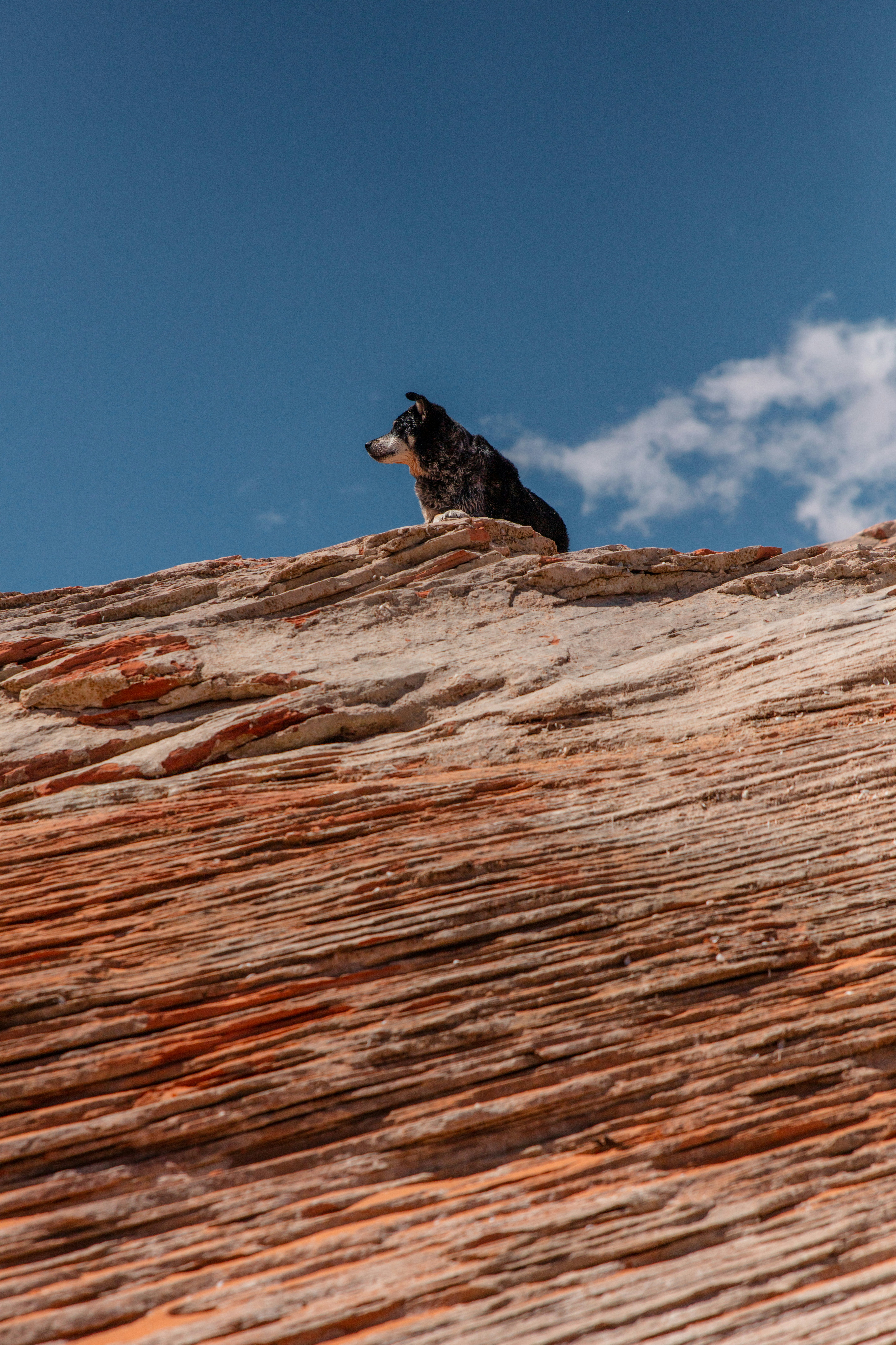 Photo by worldsbetweenlines