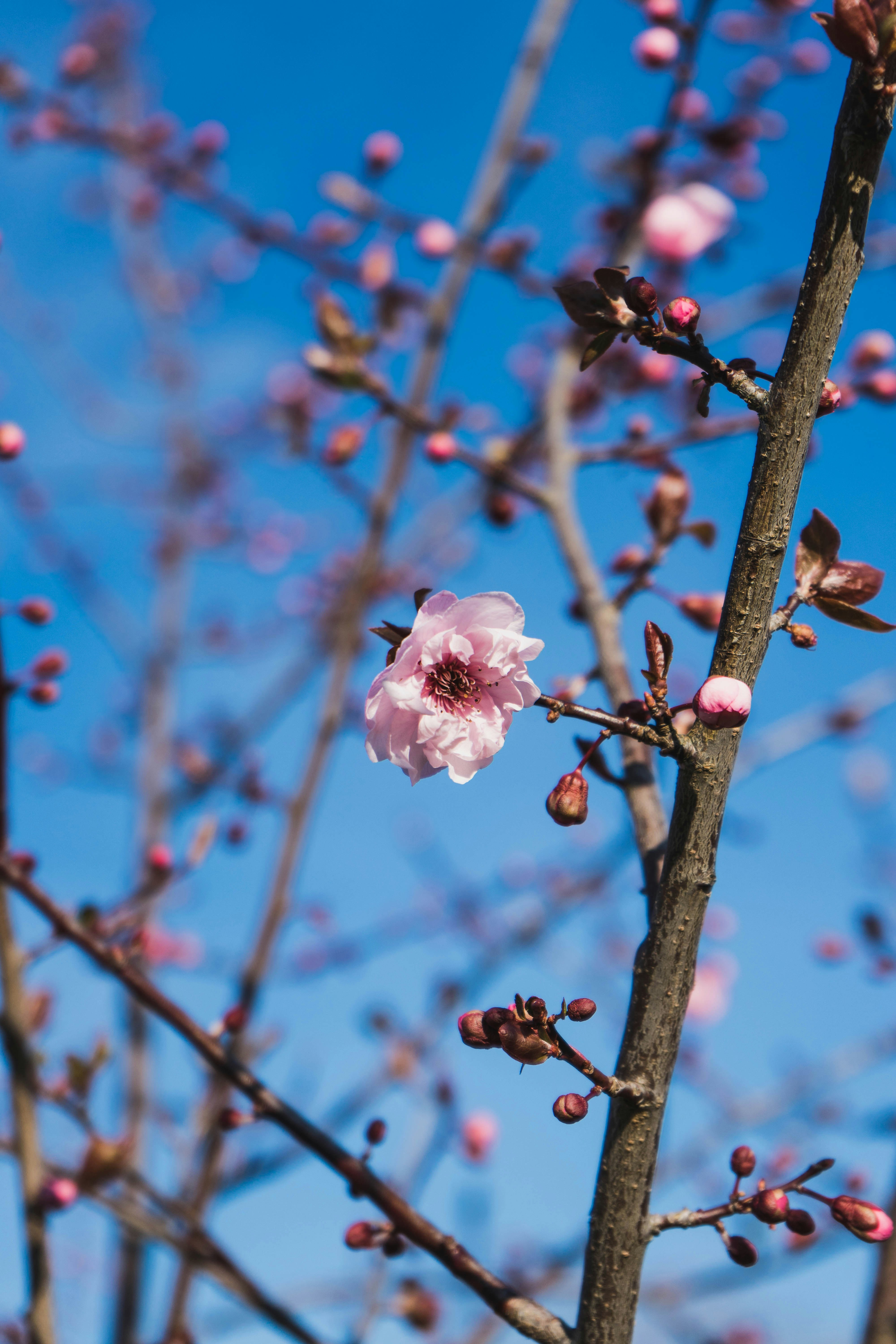 Photo by virussinside