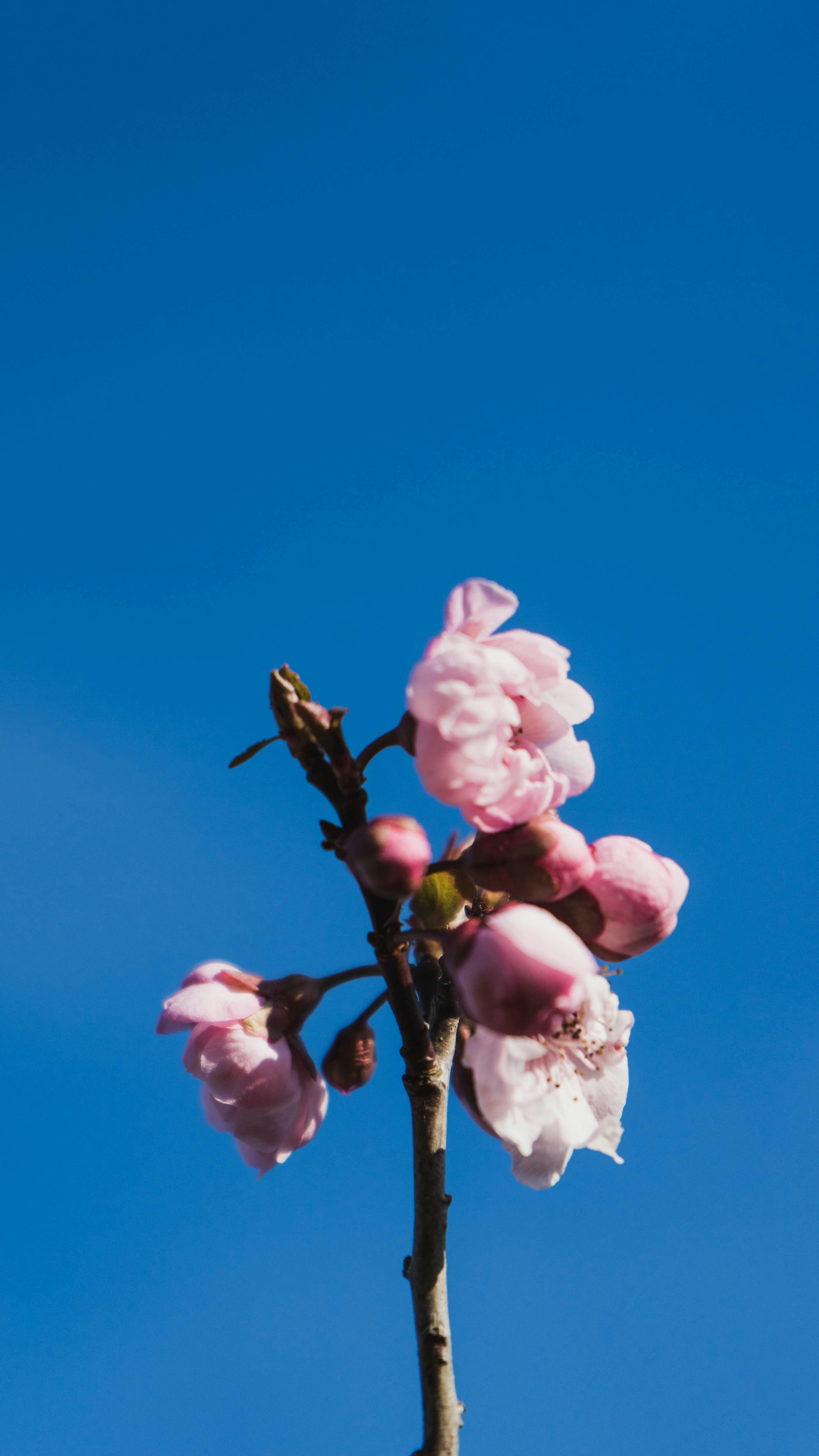 Photo by virussinside