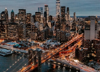 aerial photography of buildings and bridge