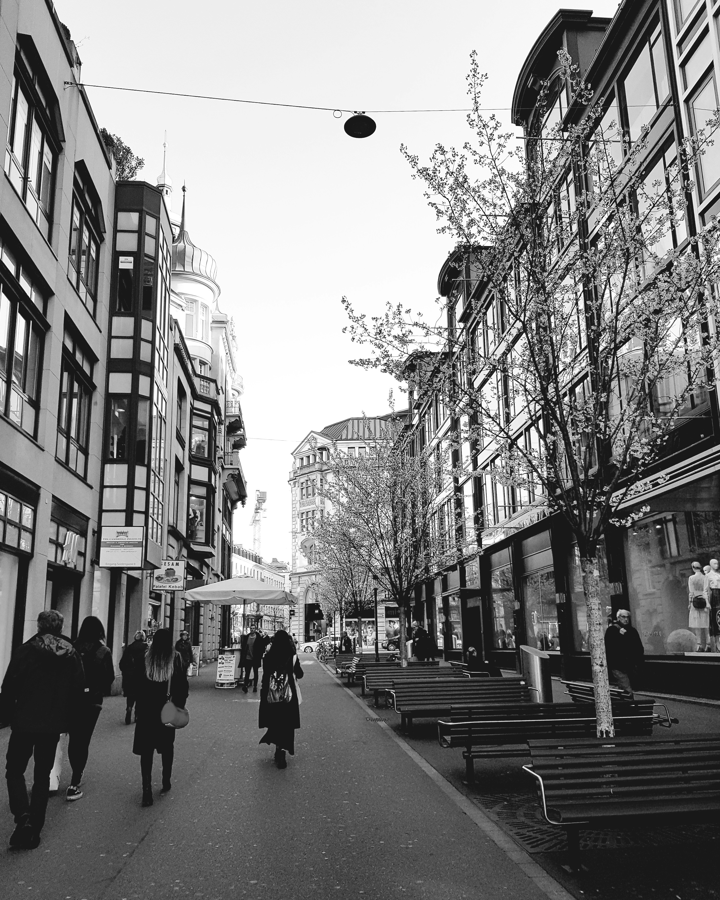 Photo by melinapanda2016