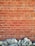 A brick wall with a pattern of horizontal and vertical lines is topped by a row of unevenly shaped, textured stones at the base. The bricks are a reddish-brown color with visible grout lines.