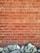 A brick wall with a pattern of horizontal and vertical lines is topped by a row of unevenly shaped, textured stones at the base. The bricks are a reddish-brown color with visible grout lines.