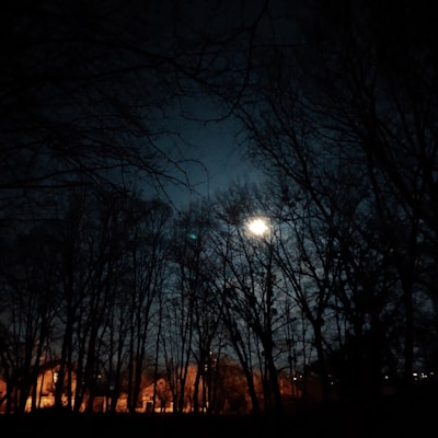 Photo 1554975334 6f145629bcbc?q=85&w=800&h=400&fit=crop