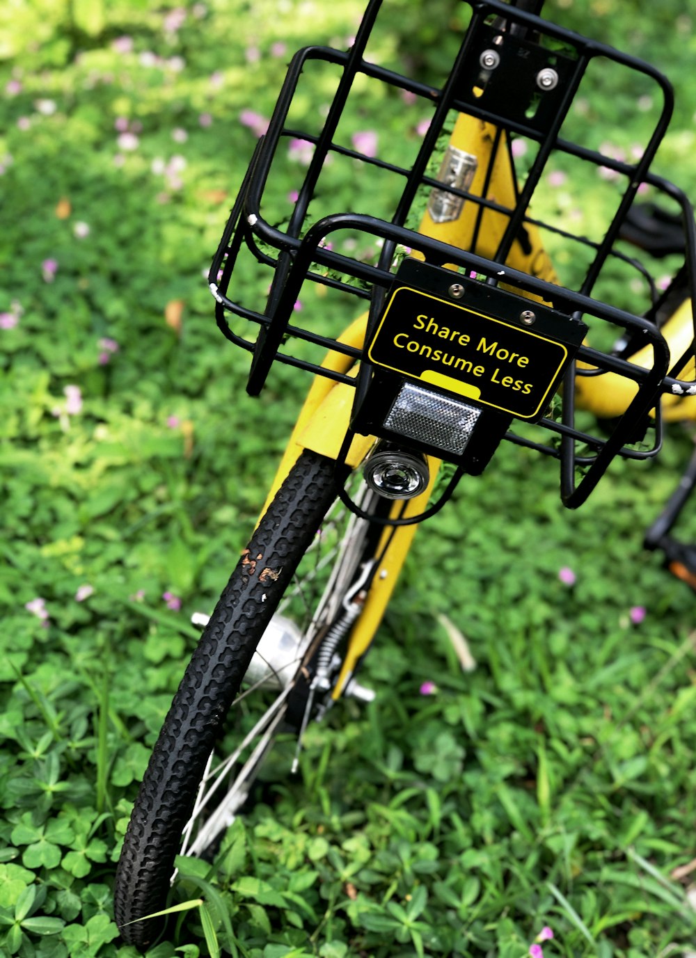 Bicicleta en el campo de hierba