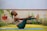 A person is practicing yoga outdoors on a grassy area, balanced in a boat pose with arms extended forward and legs raised. The setting includes a decorative railing with intricate patterns and a backdrop of flower beds. The atmosphere appears tranquil and focused.