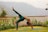 A person is practicing yoga outdoors on a grassy area. They are performing a backbend with one leg raised, on a blue yoga mat. The setting is serene, surrounded by decorative metal railings, flowers, and distant hills in a misty atmosphere.