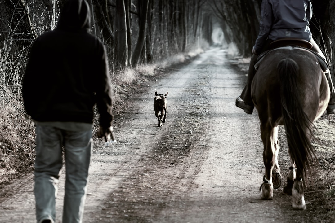 dog walking on pathway between two person