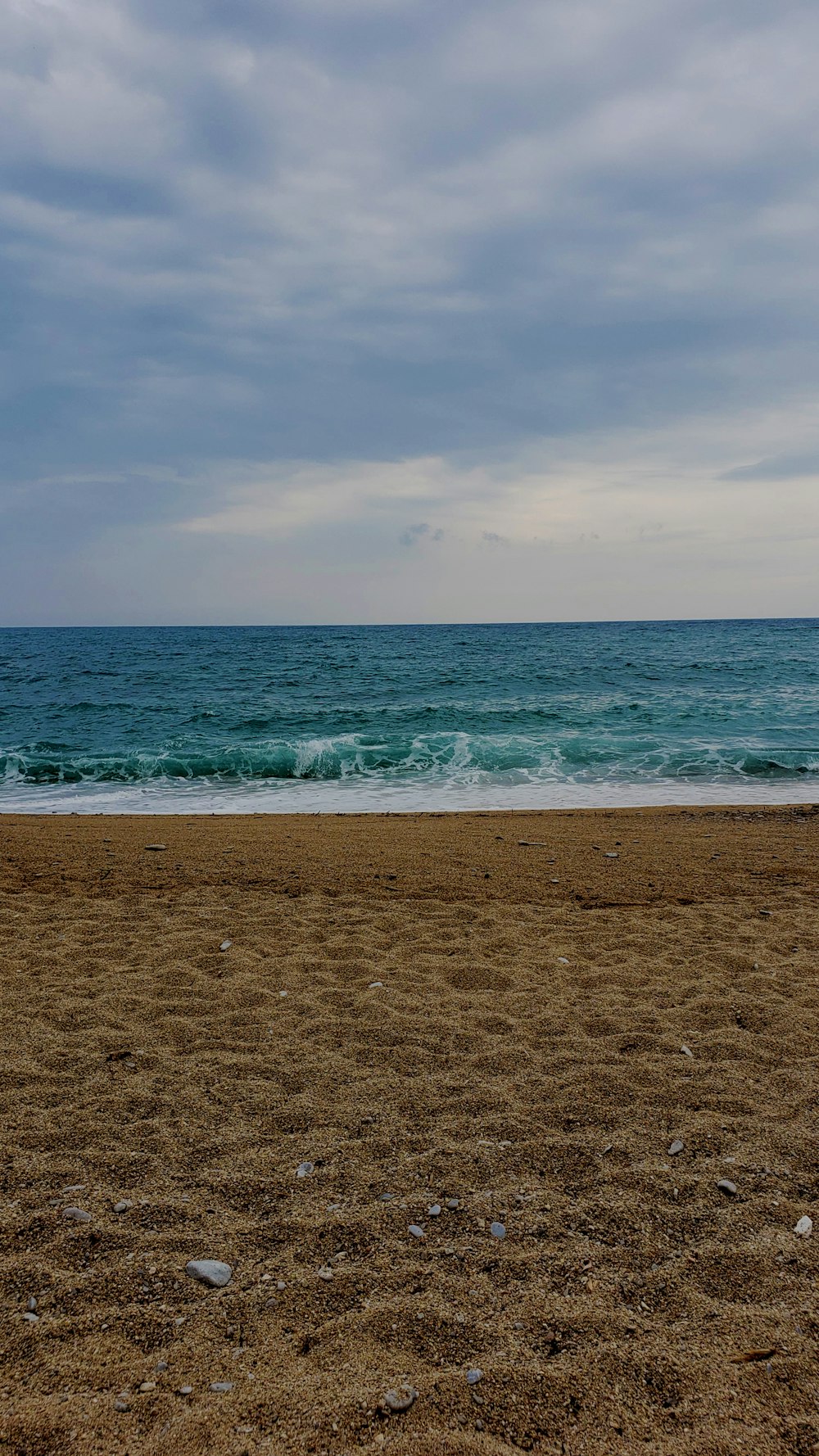 body of water wave on seashore