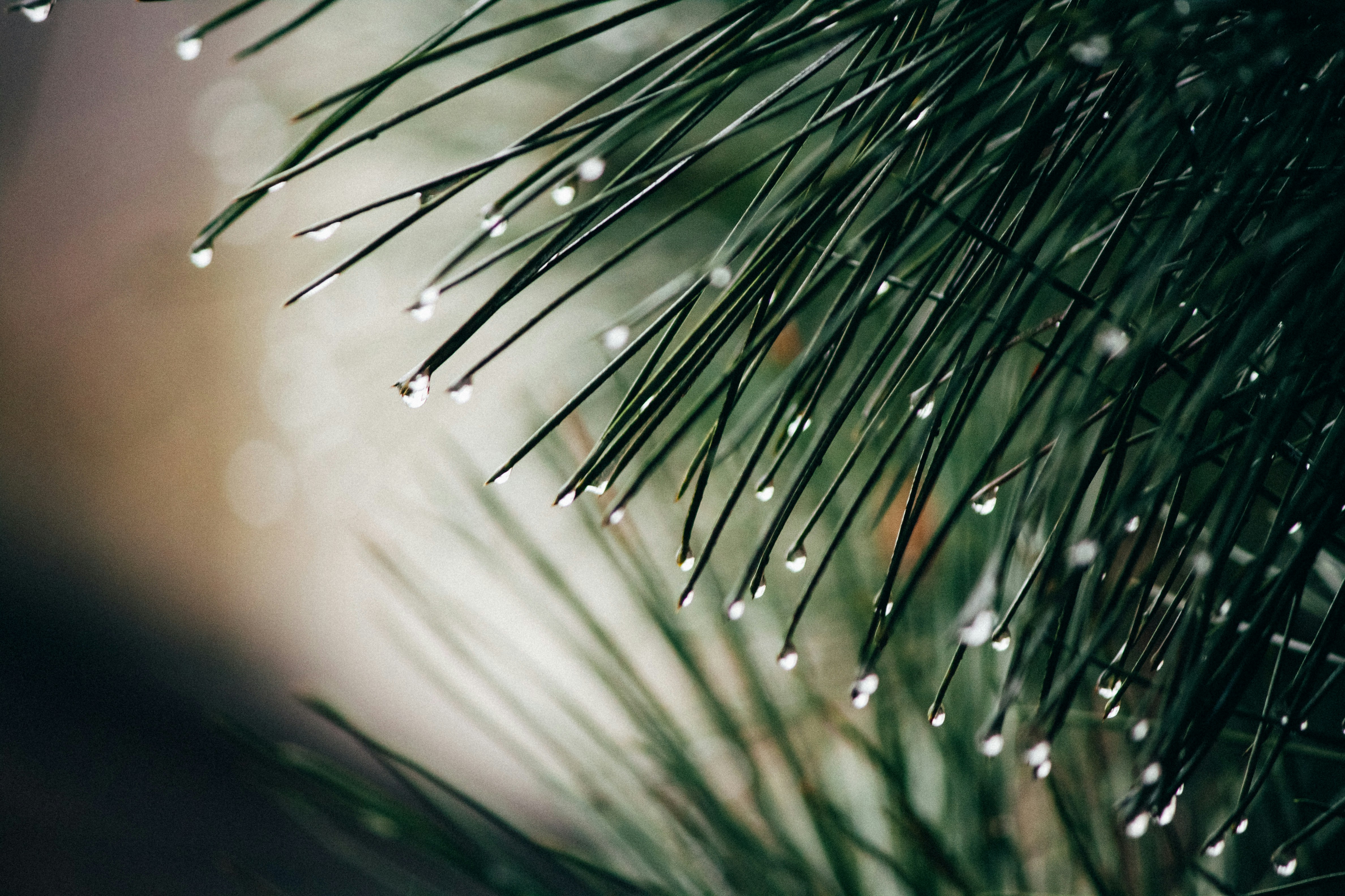 Photo by onmywayhome