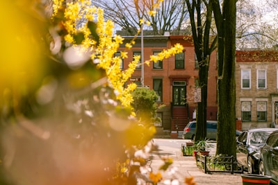 A bustling Hamilton NJ neighborhood with a mix of homes and green spaces on a sunny day.