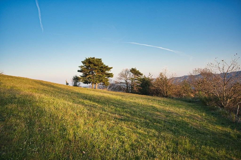 Sunny Meadow Parcel