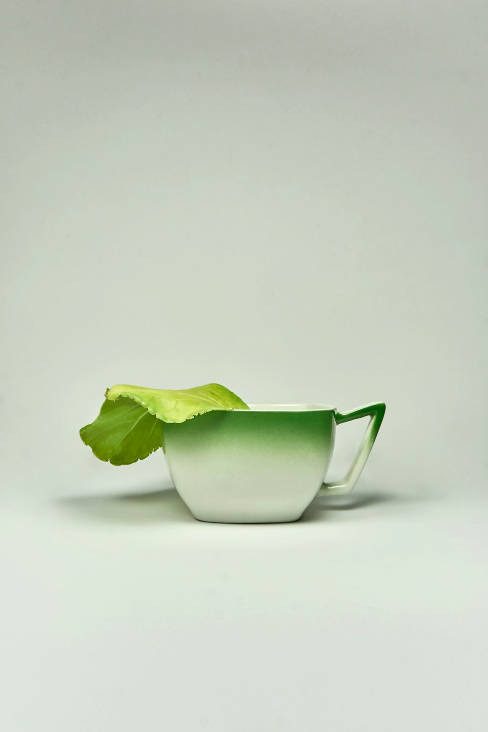 leaf on cup