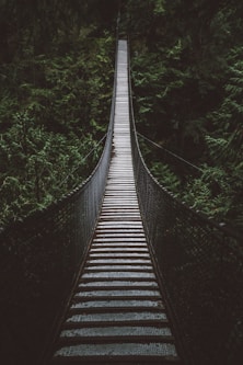 empty hanging footbridge through forest
