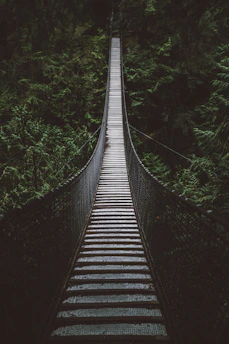 empty hanging footbridge through forest