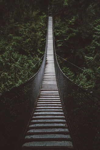empty hanging footbridge through forest
