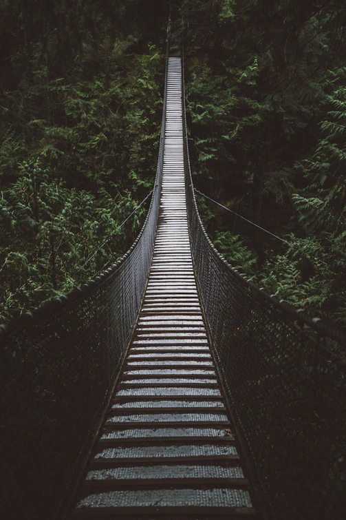 empty hanging footbridge through forest
