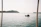 A small traditional fishing boat gliding through calm waters with lush green wetlands on either side under a pastel sky.