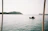 A small traditional fishing boat gliding through calm waters with lush green wetlands on either side under a pastel sky.