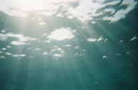 Sunlight filtering through water, illuminating a peaceful underwater scene.