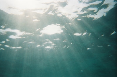 Sunlight filtering through gentle waves lighting a serene underwater rock formation.
