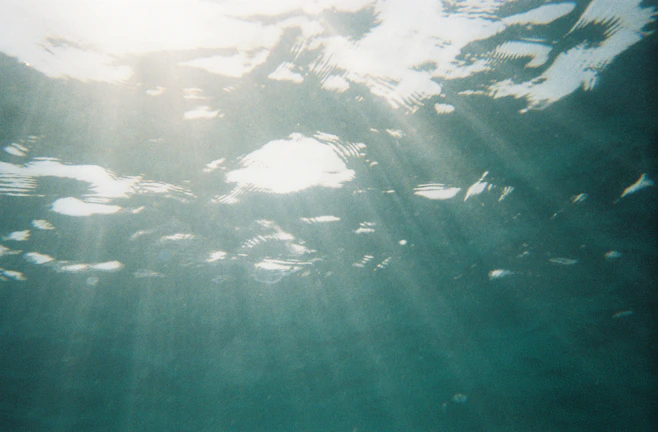 Sunlight filtering through water illuminating a serene dive site