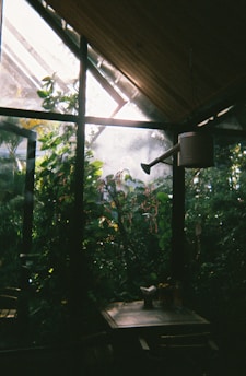 A serene space with soft lighting and plants, creating a calming atmosphere for energy consultation.