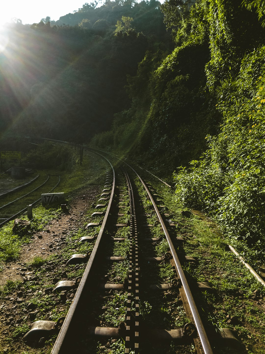 train track beside green forest