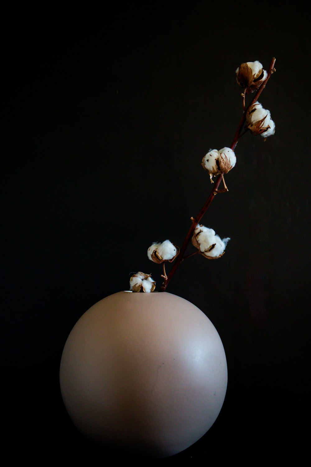 a white vase filled with cotton on top of a table