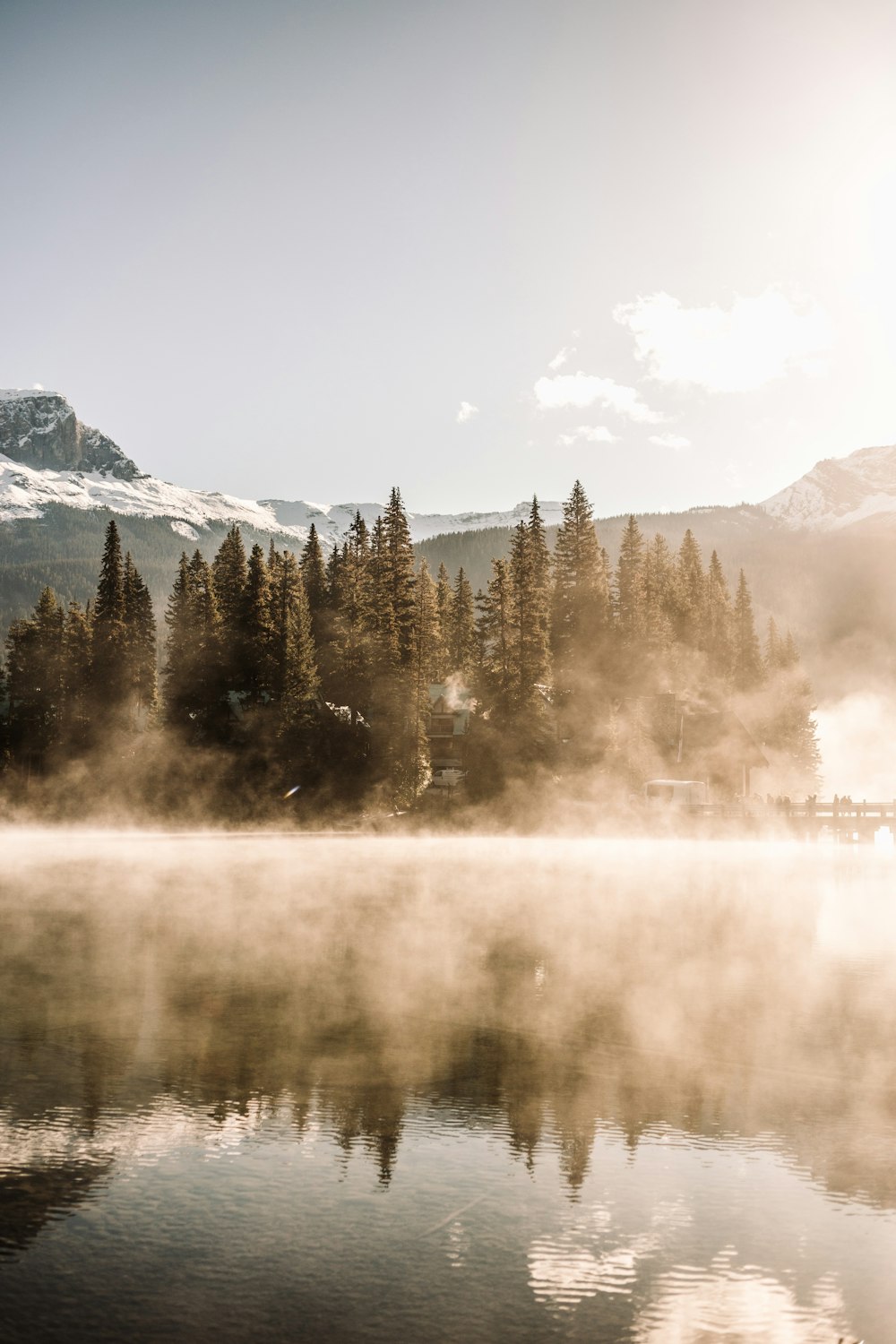 wilderness during daytime