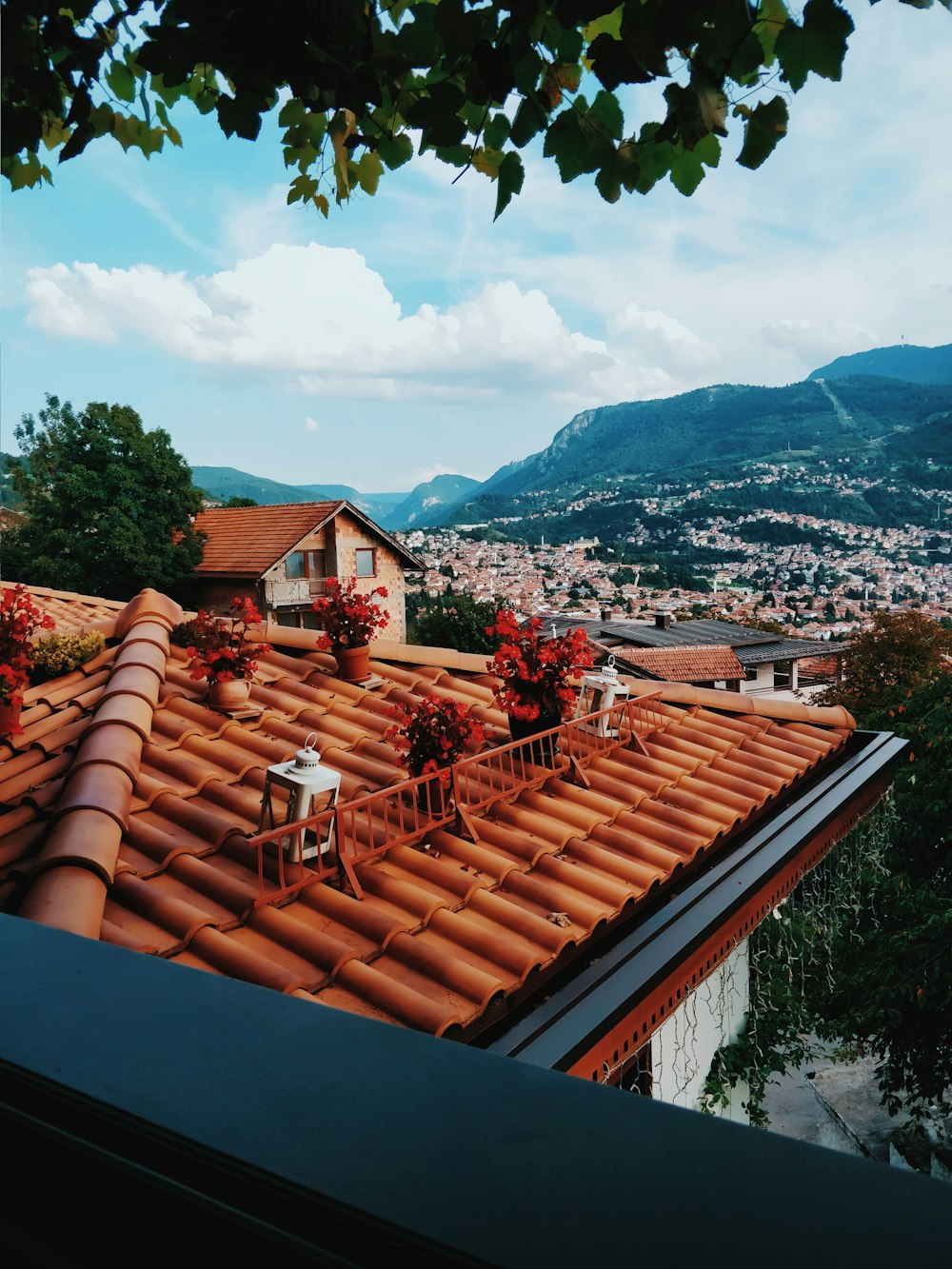 flowers on roof