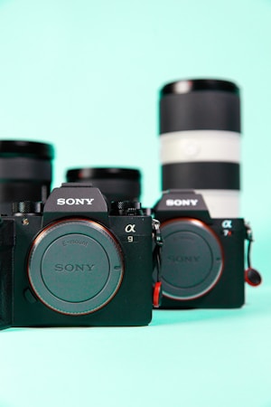 Two Sony cameras are placed side by side with interchangeable lenses in the background against a mint green backdrop. The cameras are prominently displayed in the foreground showcasing their branding and are complemented by a blurred view of two camera lenses.