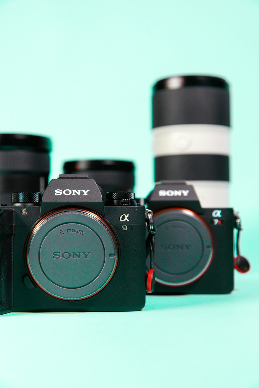 two Sony DSLR cameras