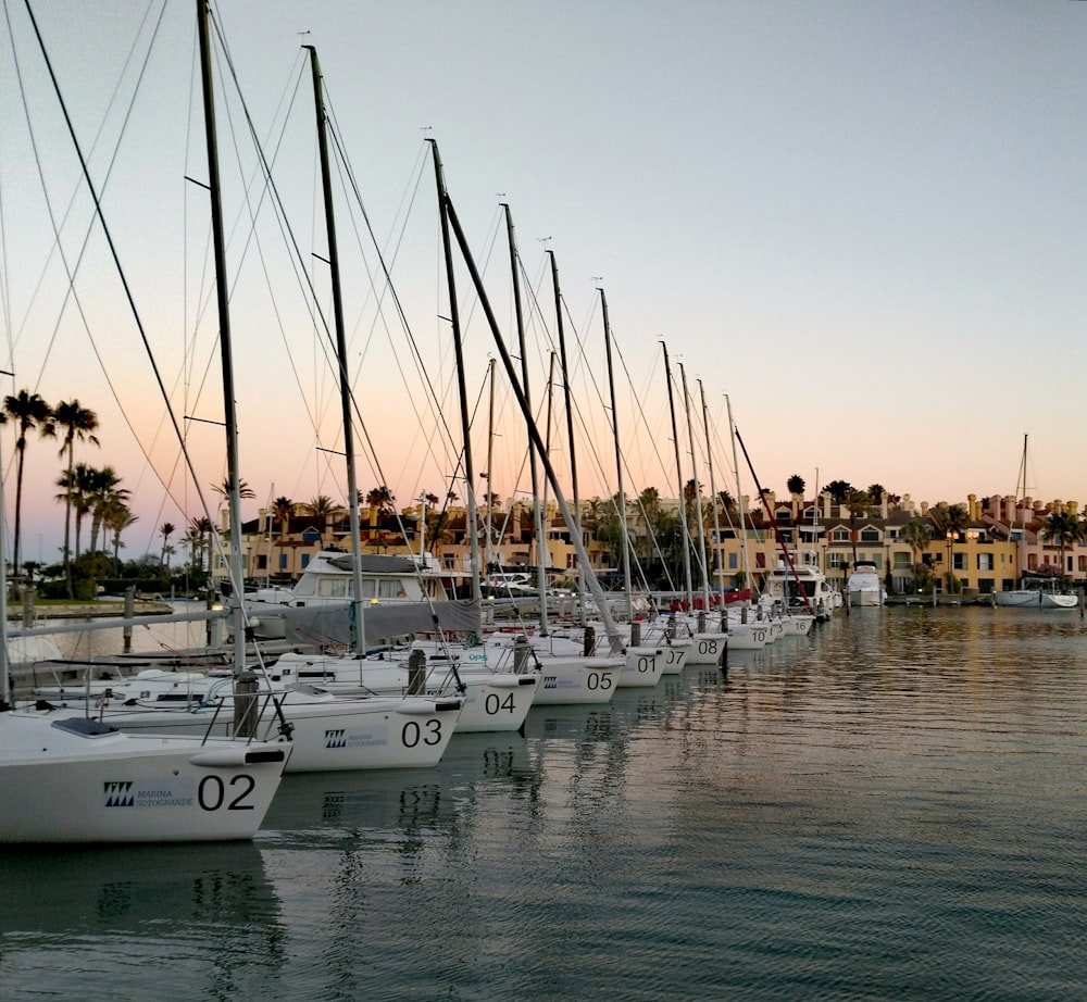 parked sailboats during daytime