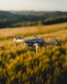 gray drone