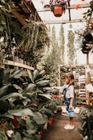 A child stands in a greenhouse surrounded by lush green plants in pots. The child, wearing blue overalls and a floral shirt, holds a watering can and appears to be watering or touching a plant. Hanging plants are above, and tall trees are visible outside through the glass ceiling.