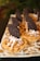 A platter of small tarts topped with caramel, shredded coconut, and half an Oreo cookie. The tarts are arranged in rows on a reflective surface with a blurred green background.