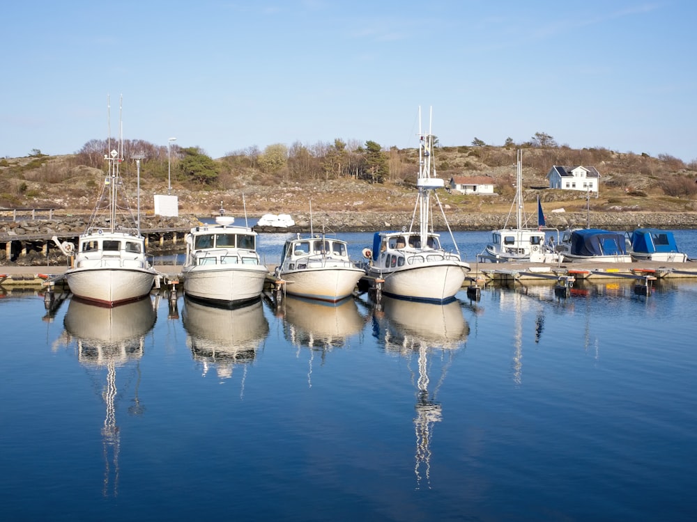 four white boats near dock