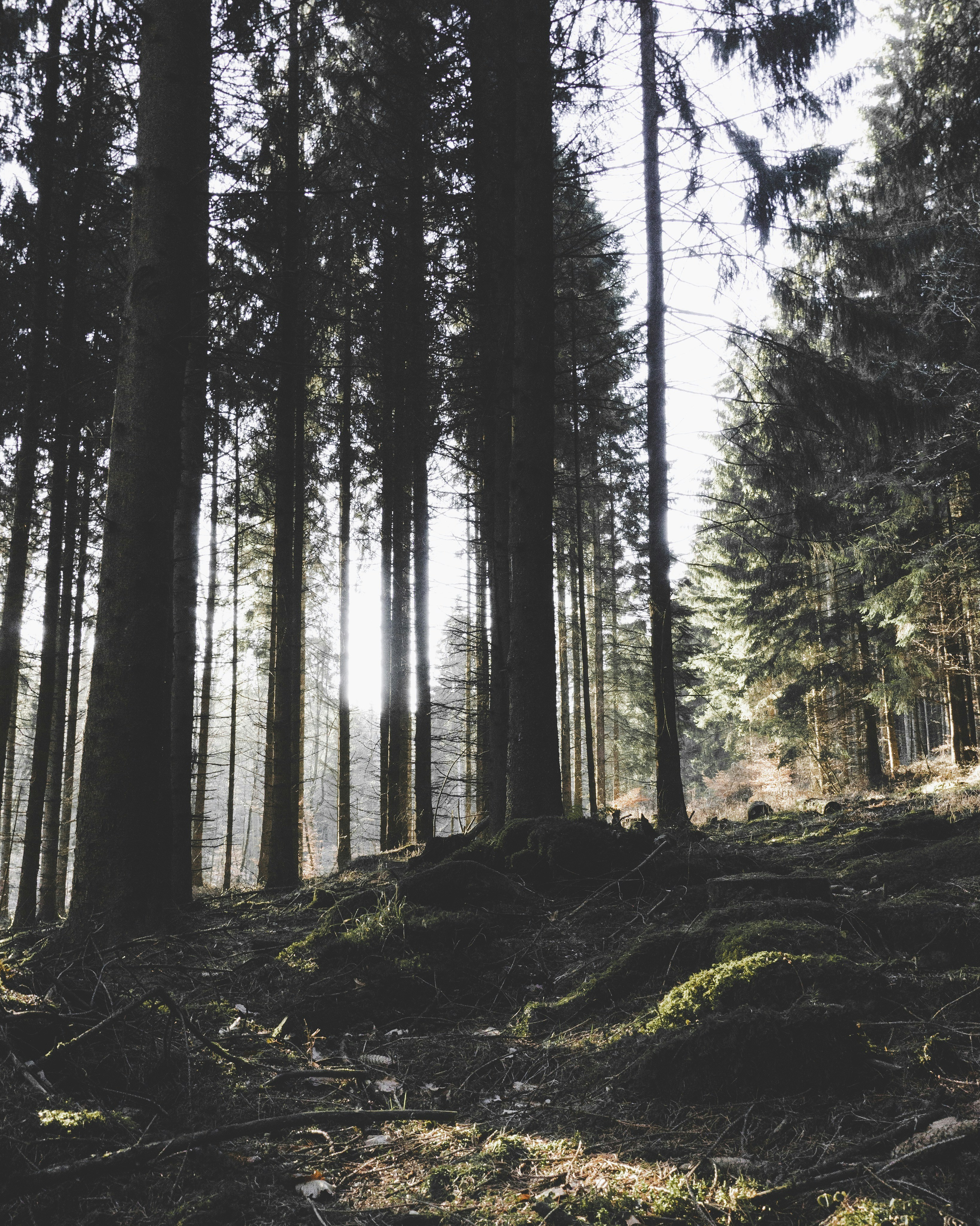 Photo by justusmenke