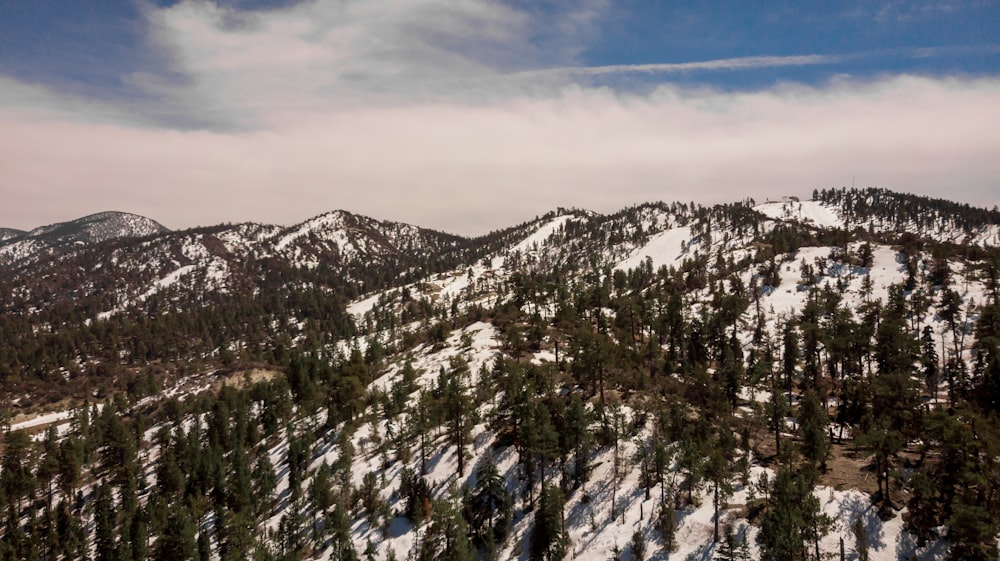 grey and white mountain during daytime