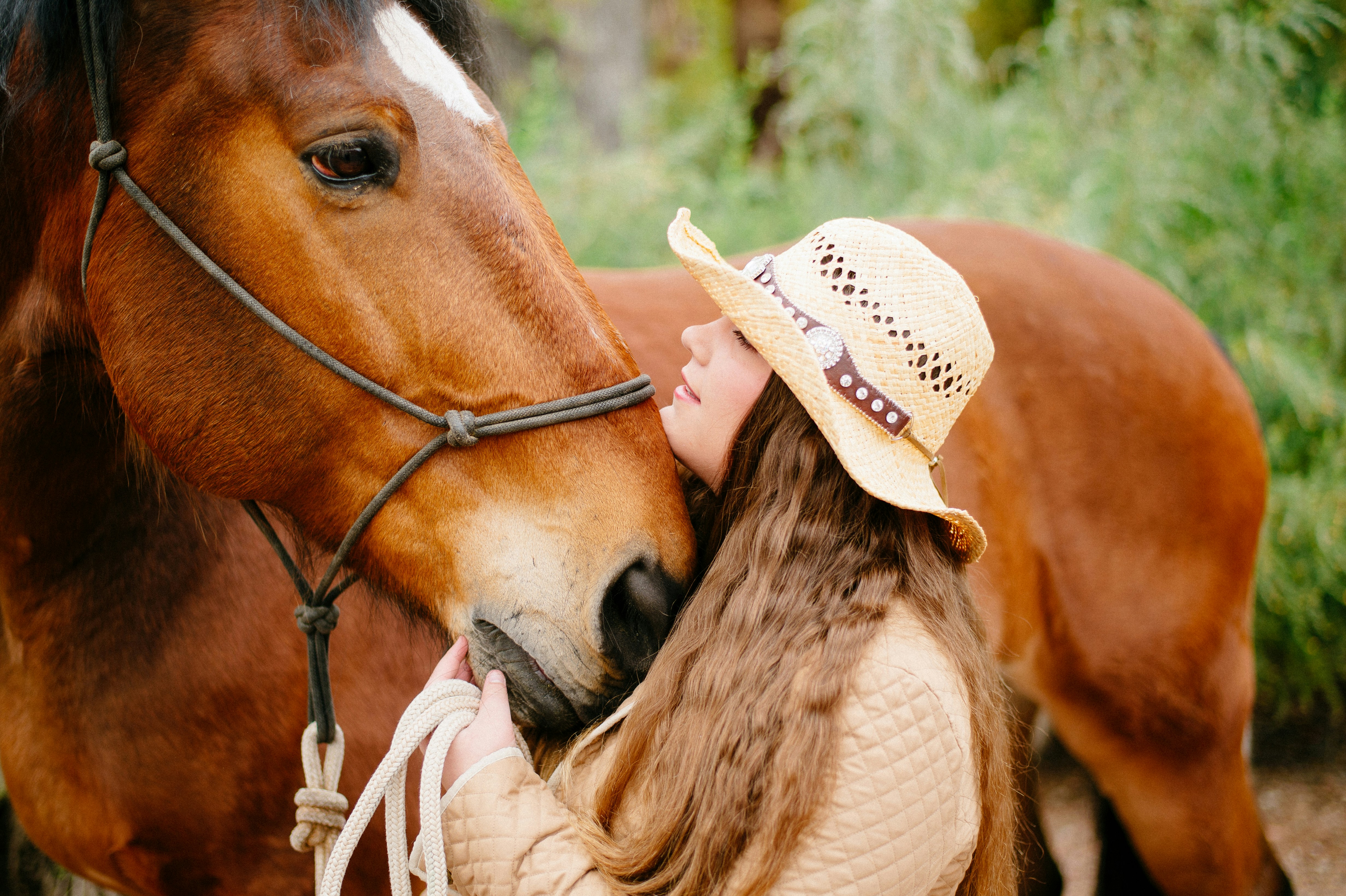 Horse Love Pictures Download Free Images on Unsplash